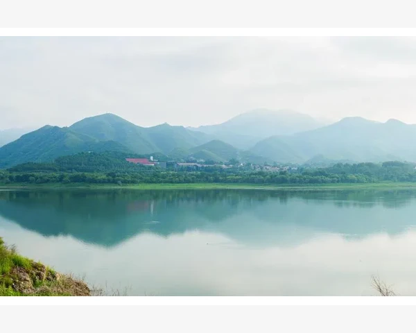 化脓性扁桃体炎刮痧有用吗