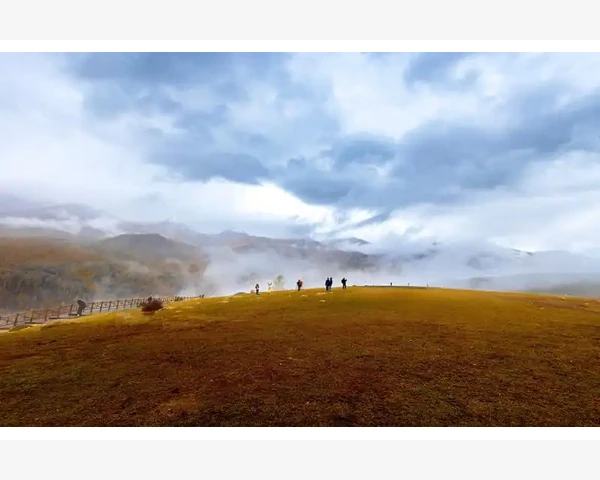 肝肾不足，是气血不足的病因吗？